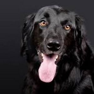 Meet your Posher, Celia